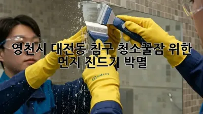 영천시 대전동 침구 청소🚨꿀잠 위한 먼지 진드기 박멸!