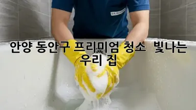 안양 동안구 프리미엄 청소 ✨ 빛나는 우리 집!