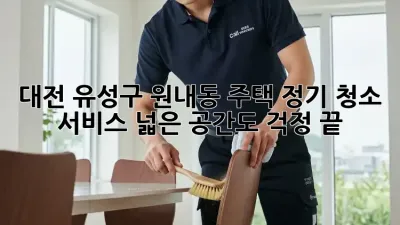대전 유성구 원내동 주택 정기 청소 서비스: 넓은 공간도 걱정 끝! ✨