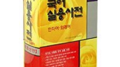 나만의 국어실용사전, 득템 후기! ✨